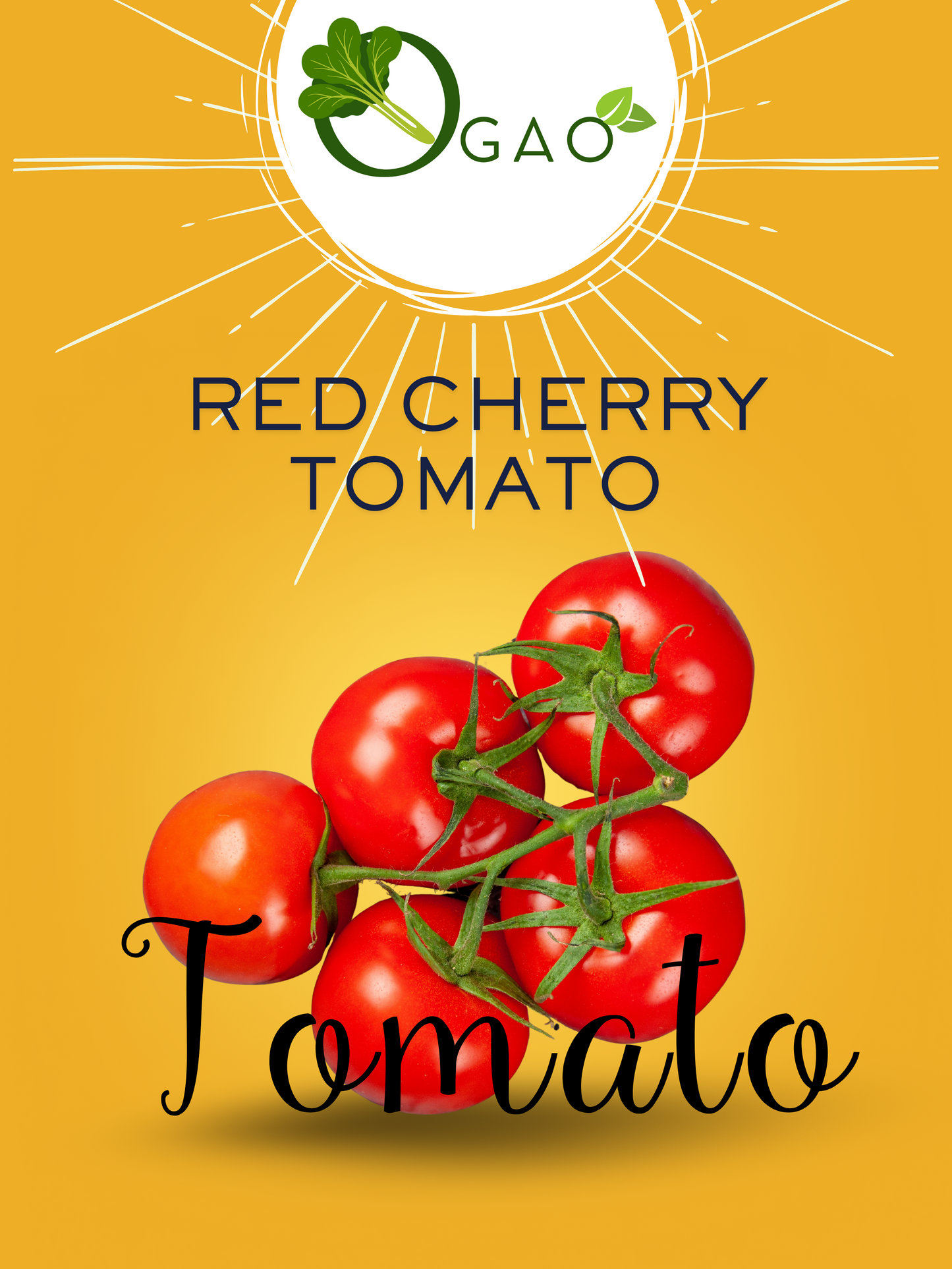 Red Cherry Tomato - Ogao
