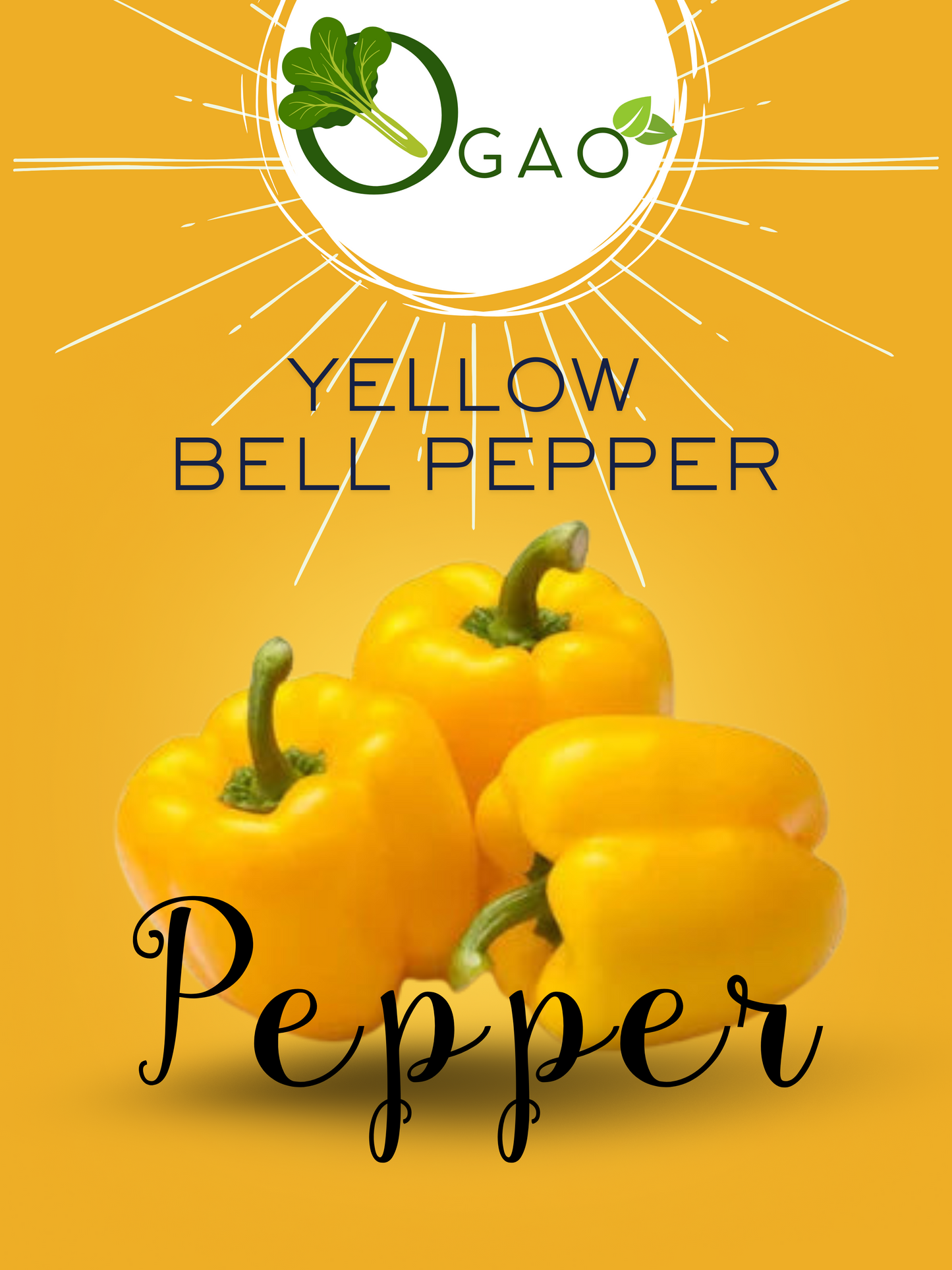 Yellow Bell Pepper - Ogao