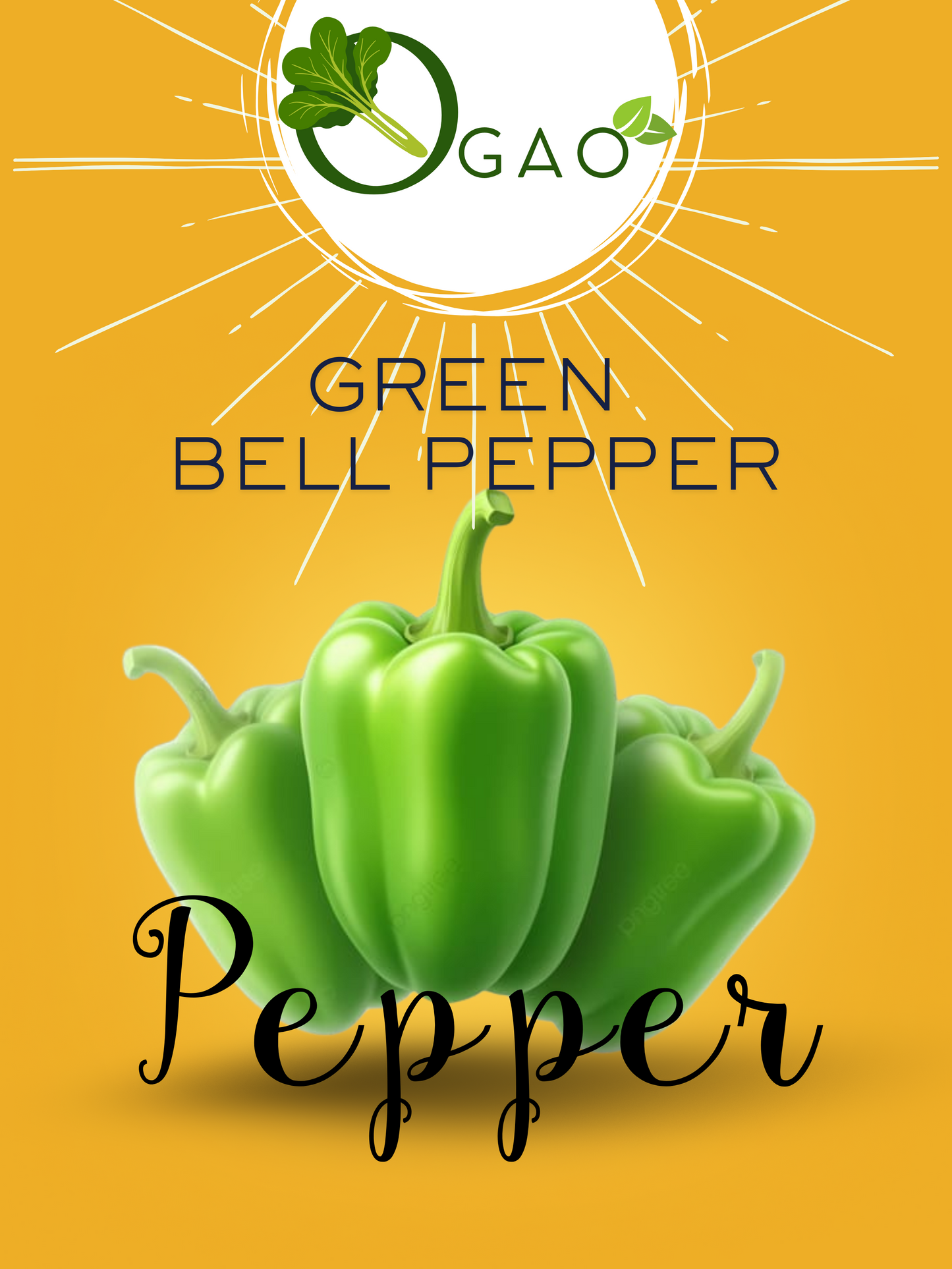 Green Bell Pepper - Ogao