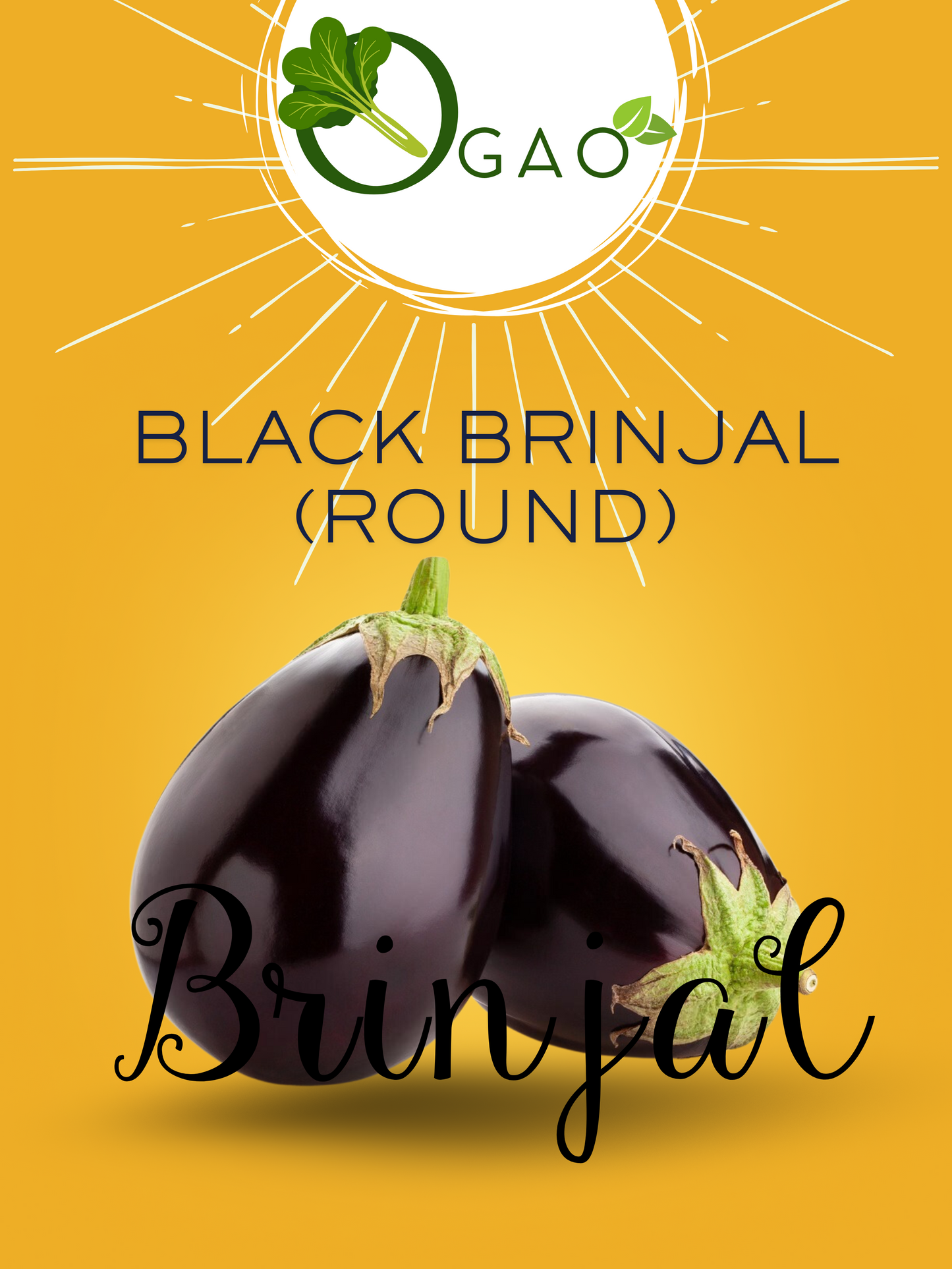 Black Brinjal (round) - Ogao