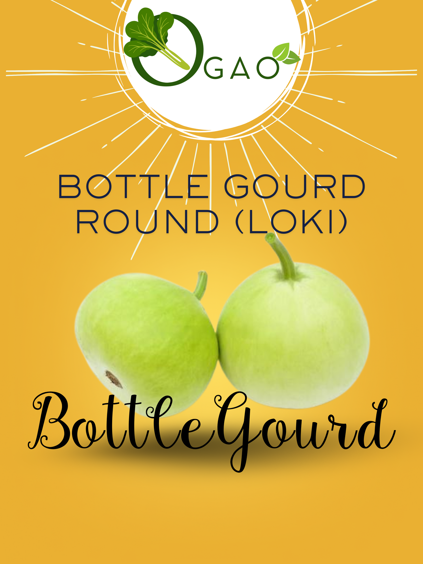 Bottle Gourd Round (Loki) Seeds