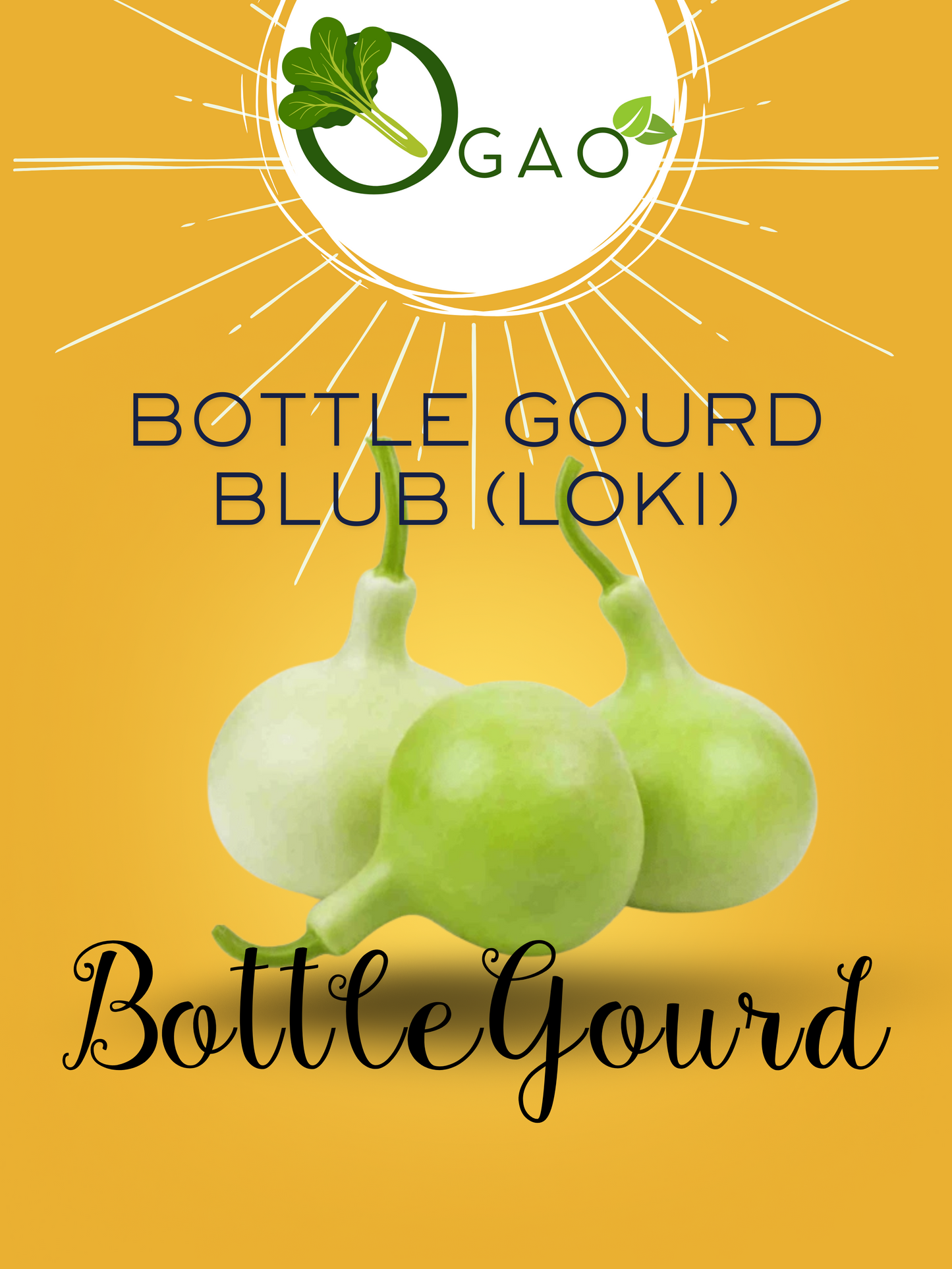 Bottle Gourd Blub (Loki) F1 Hybrid Seeds