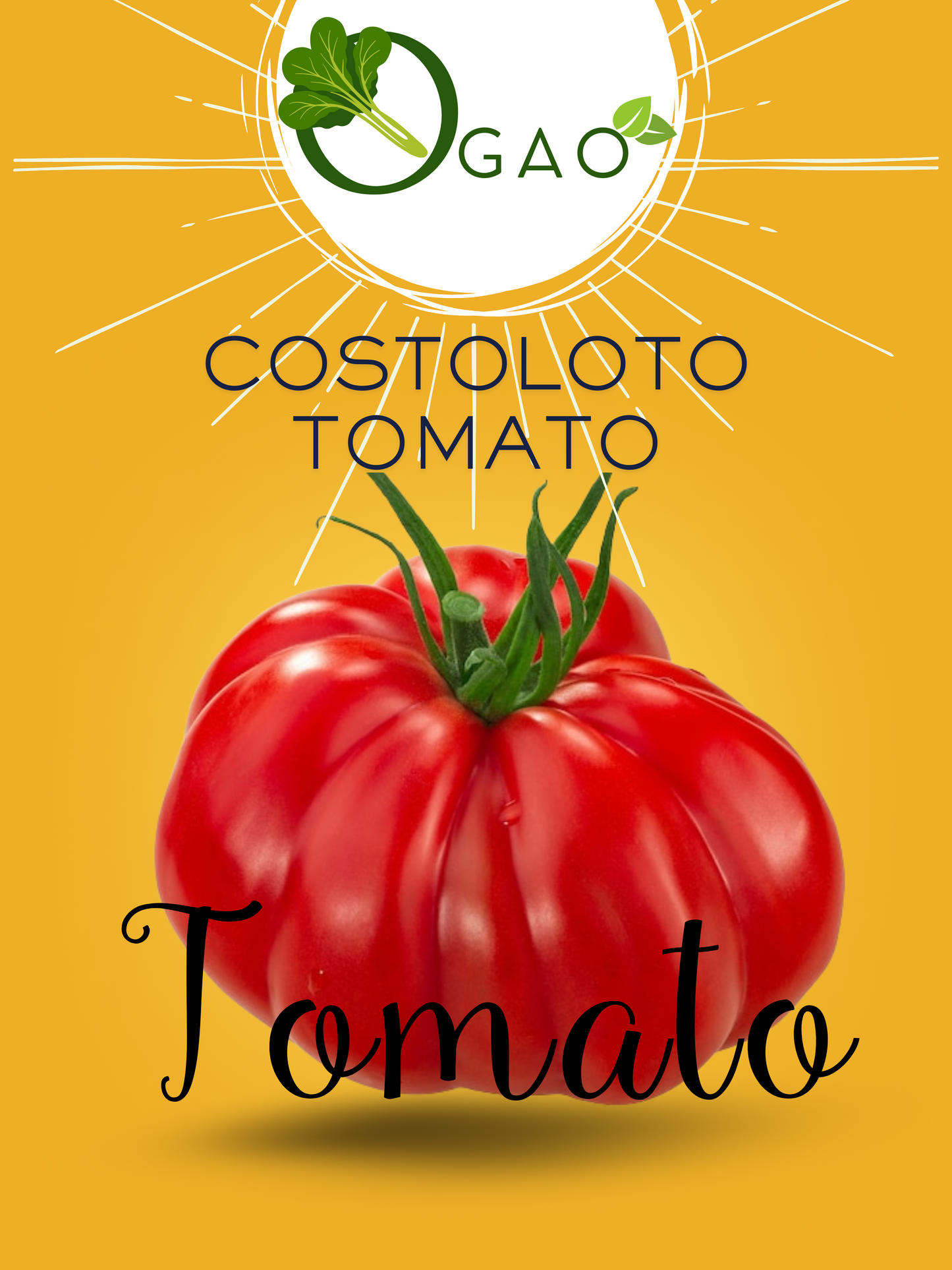 Costoloto Tomato - Ogao