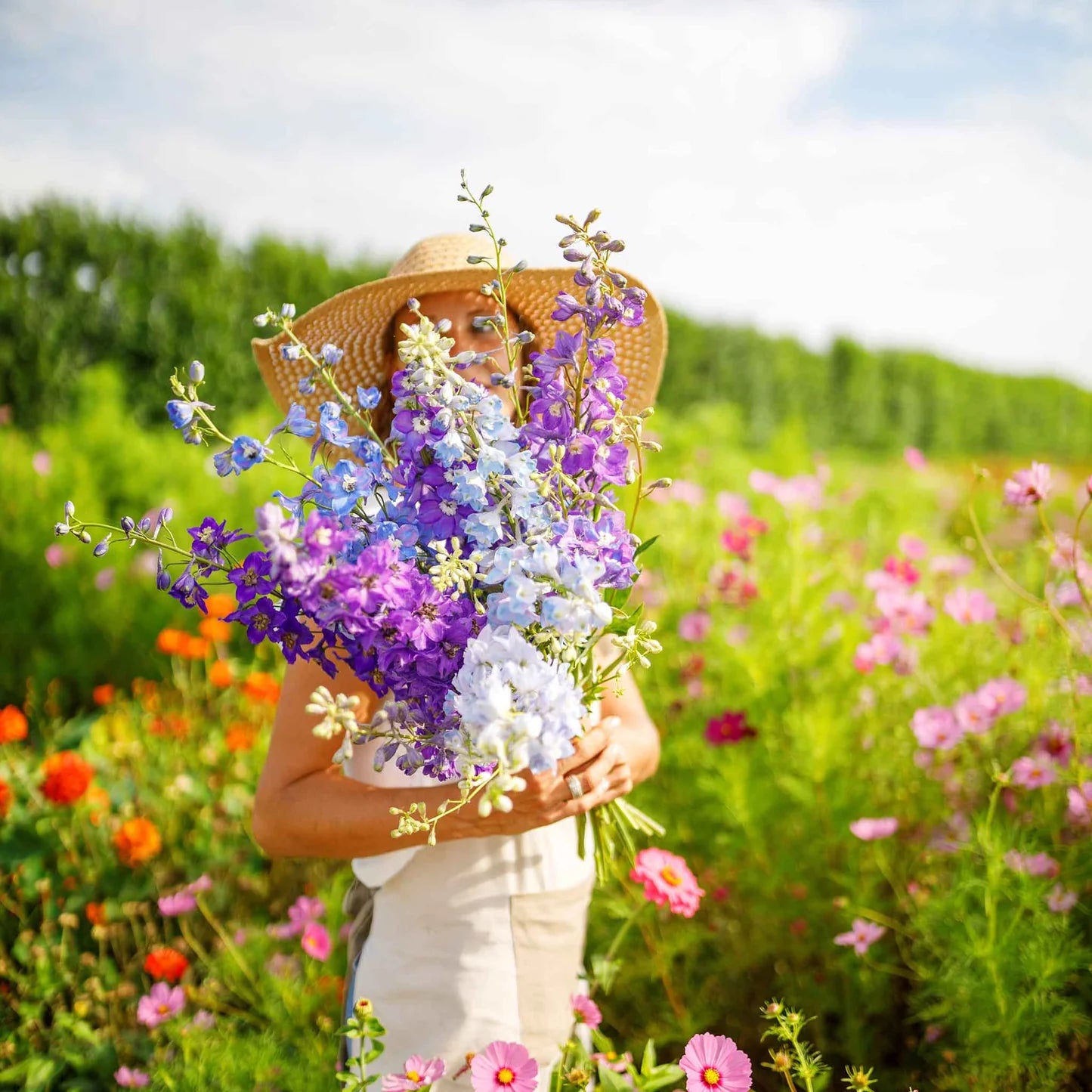 Larkspur Imperial Mix Flower Seeds