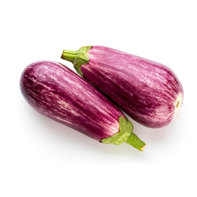 Tsakonian Eggplant (Began)