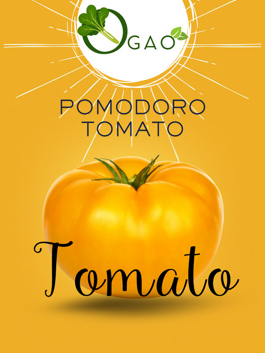 Pomodoro Tomato - Ogao