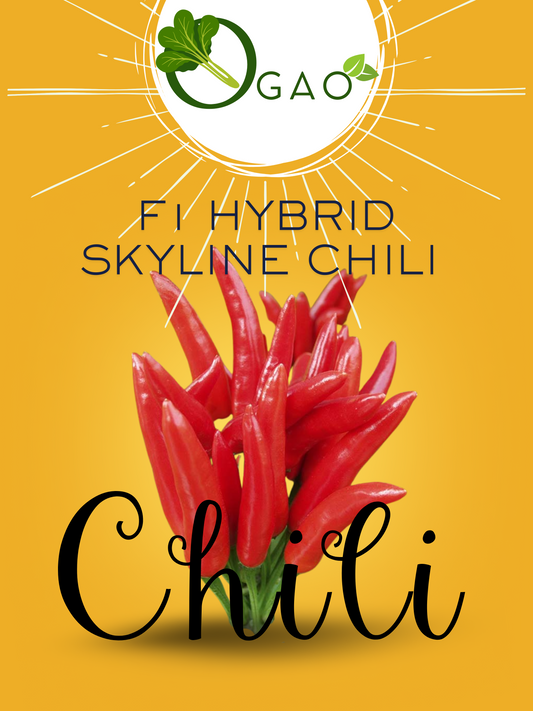 Hybrid Skyline Chili - Ogao