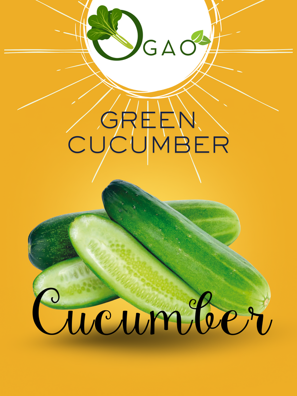 Green Cucumber - Ogao