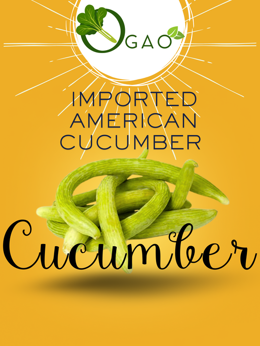 Imported American Cucumber - Ogao