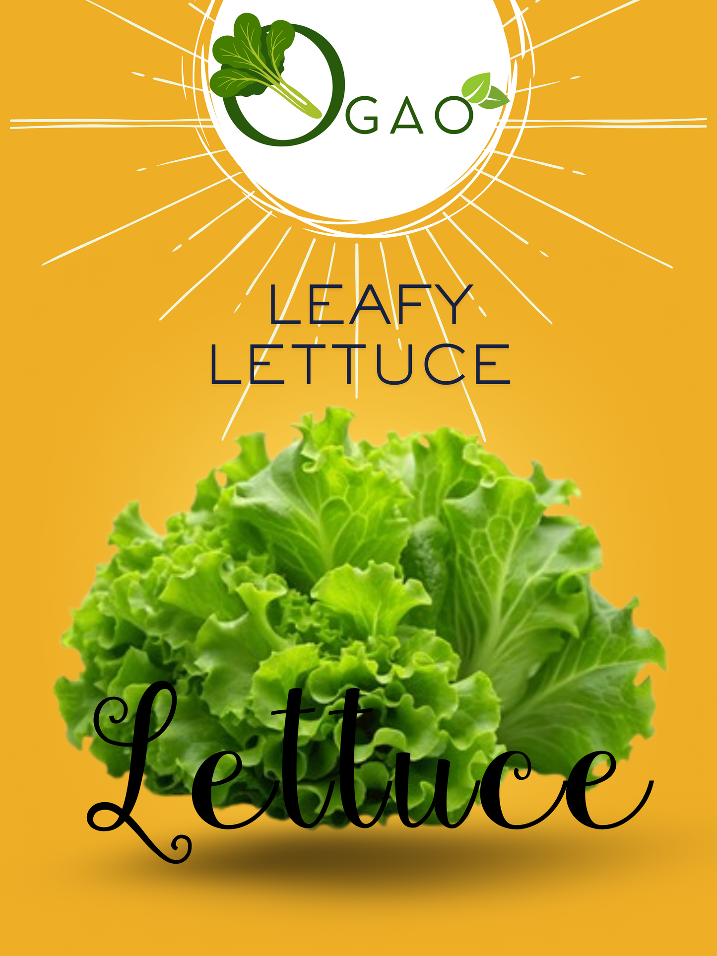 Leafy Lettuce - Ogao