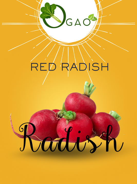 Red Radsih - Ogao