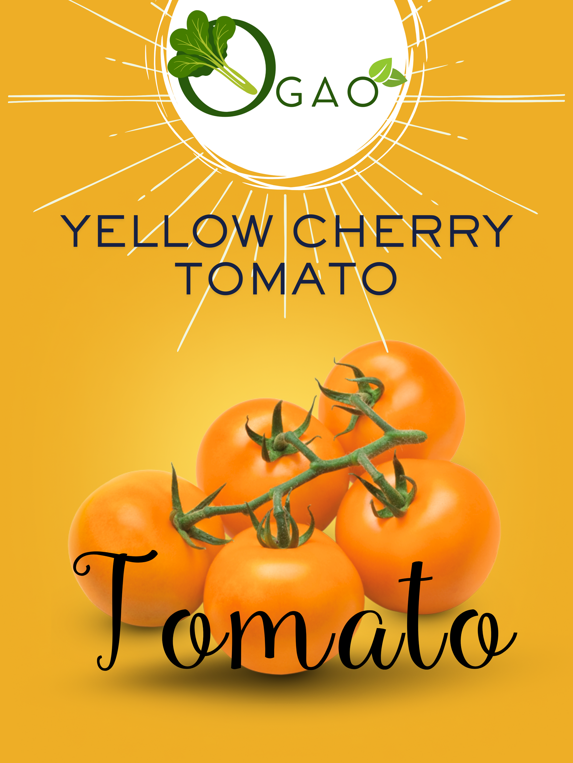 Yellow Cherry Tomato - Ogao