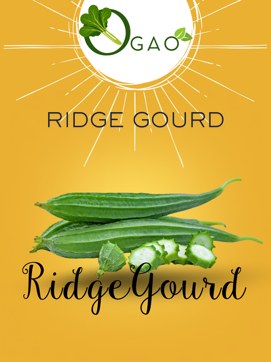 Ridge Gourd (Turai) F1 Hybrid Seeds