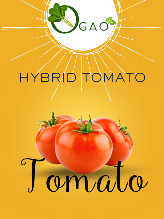 Hybrid Tomato - Ogao