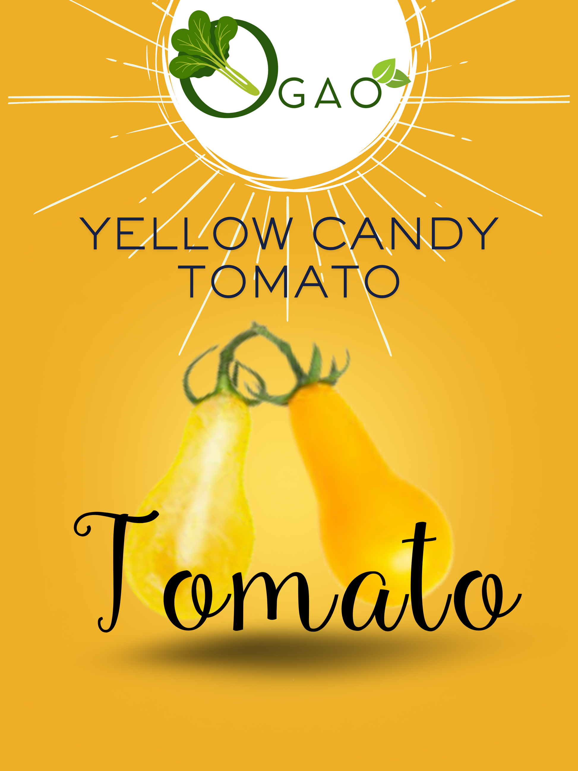 Yellow candy Tomato - Ogao