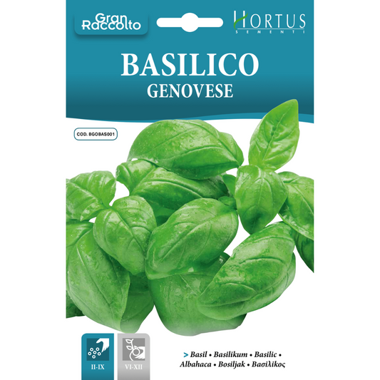 Hortus Basil Genovese 10gm