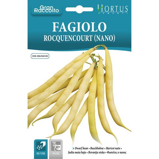 Hortus Bush Bean Rocquencourt 60gm
