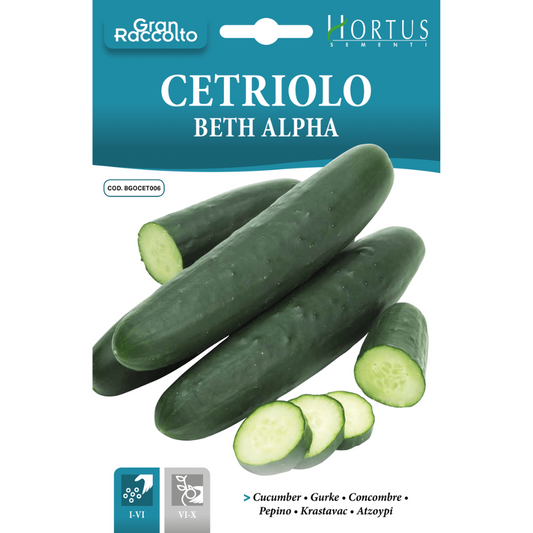 Cucumber Beth Alpha 10gm