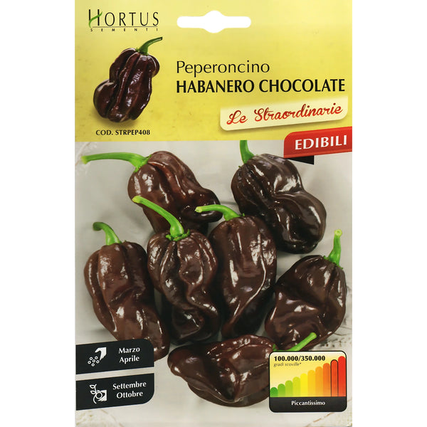 Black Habanero Pepper