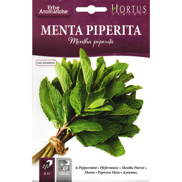 Pepper mint Seeds (Mentha piperita) 0.05g