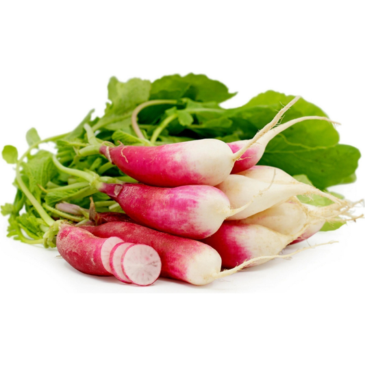 Radish Flamboyant