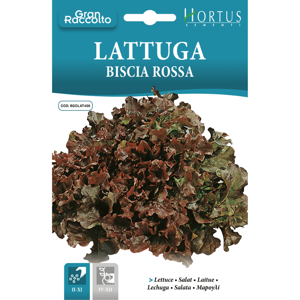 Hortus Red Oak Leaf Lettuce 25gm