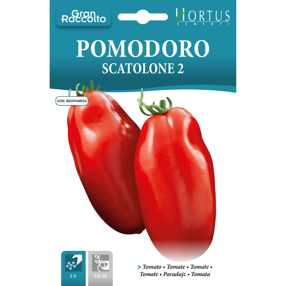 Hortus Tomato Scatolone 2 2gm