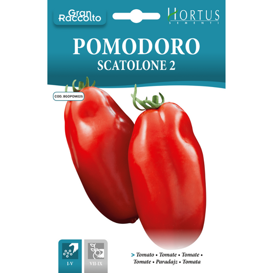 Hortus Tomato Scatolone 2 2gm