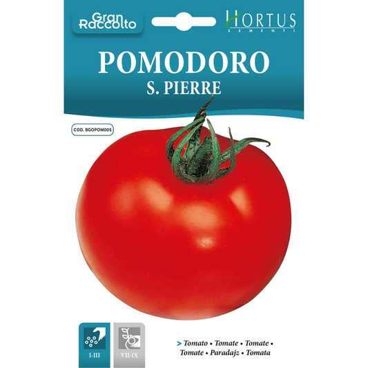 Hortus Tomato St Pierre 2gm