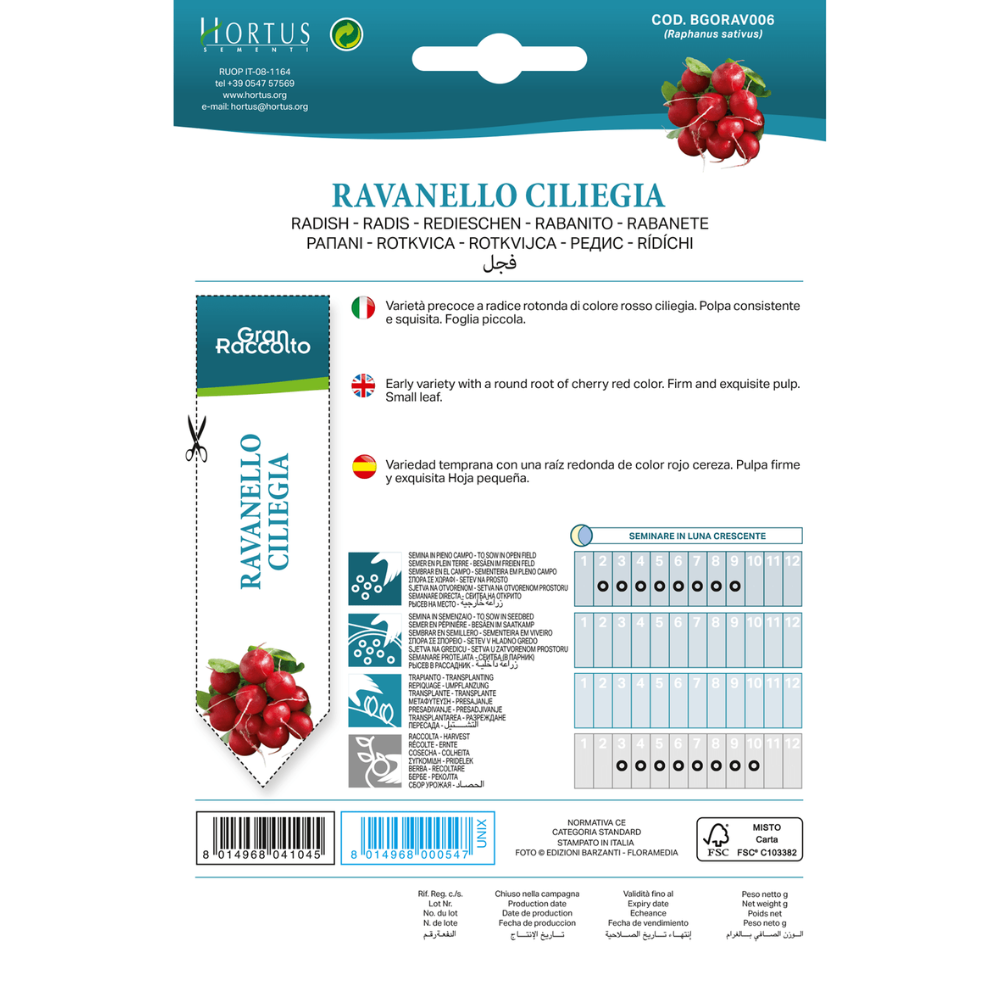 Hortus Radish red Ciliegia 30gm