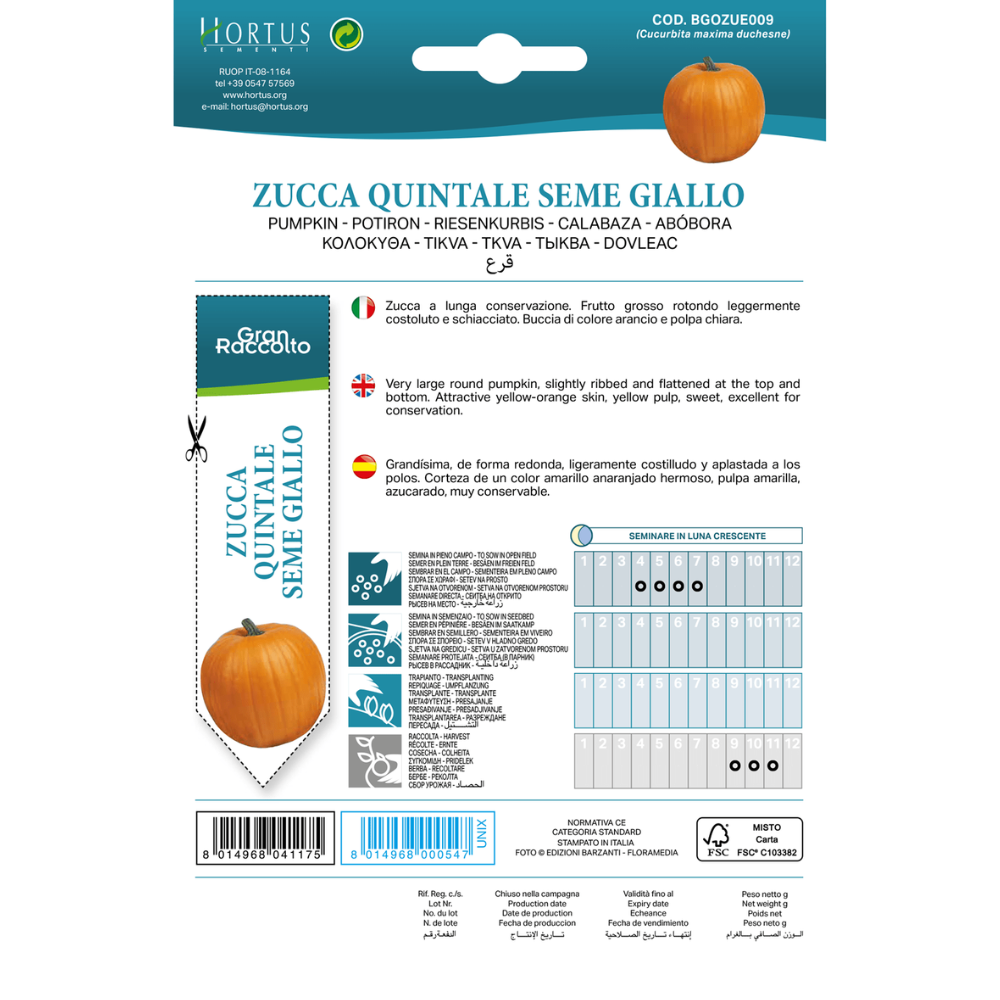 Hortus Pumpkin Yellow Quintal 8gm