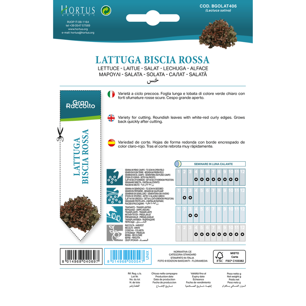 Hortus Red Oak Leaf Lettuce 25gm
