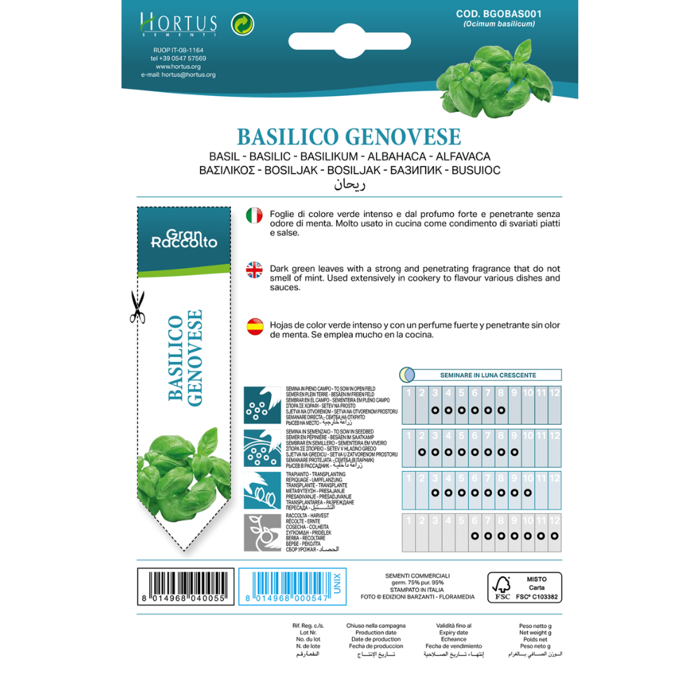Hortus Basil Genovese 10gm