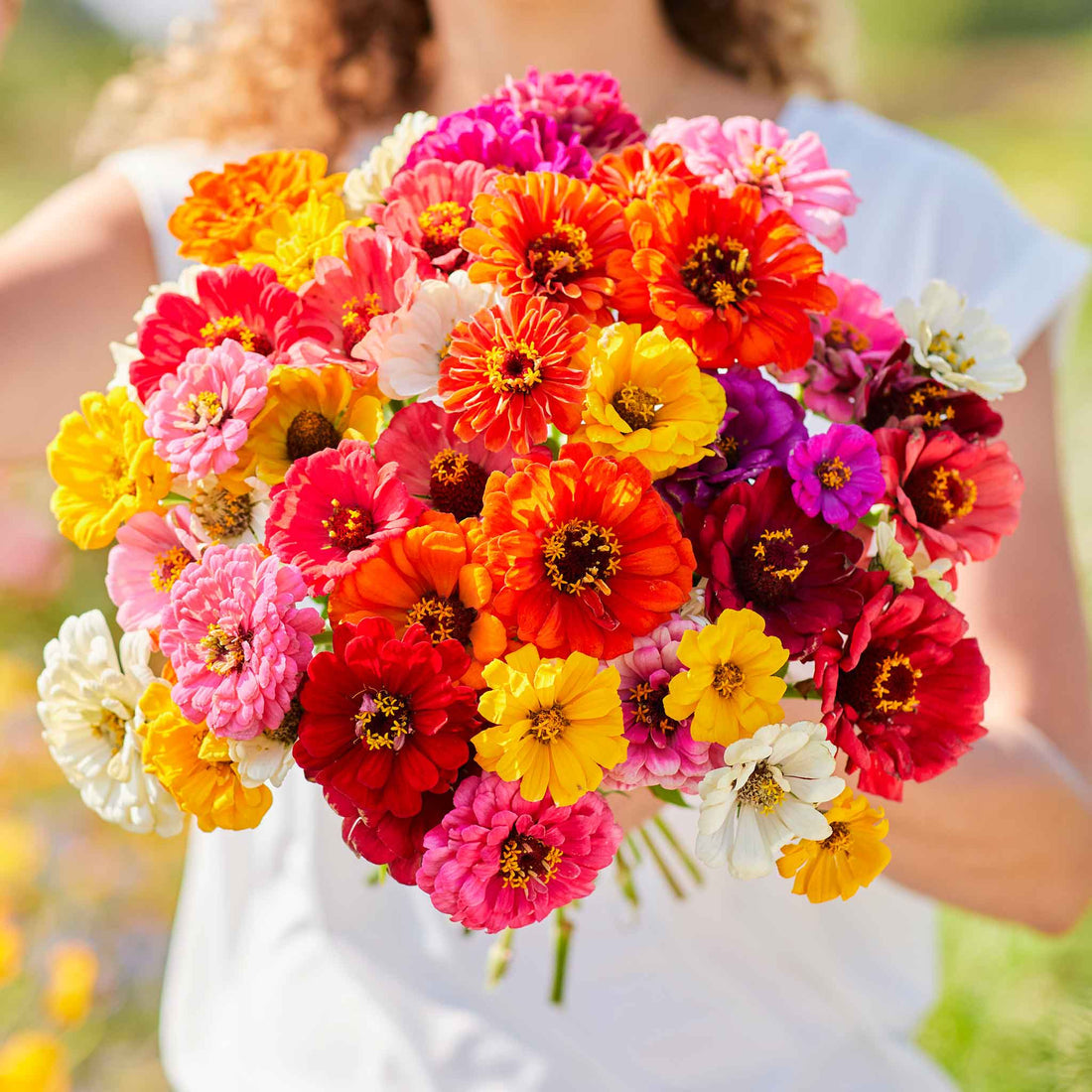 Zinnia Super Yoga Mix Seeds
