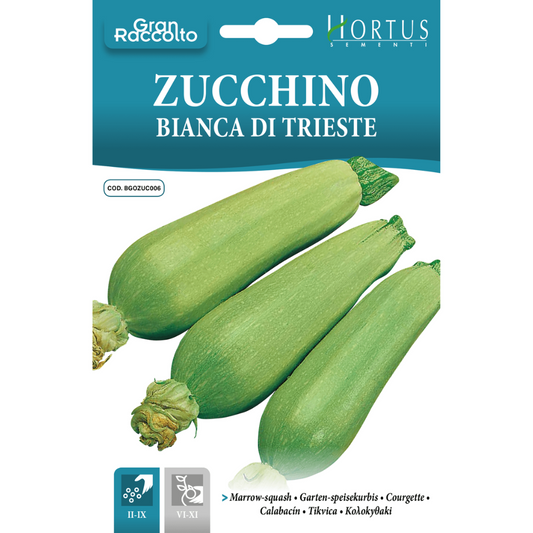 Hortus Zucchini White From Trieste 15gm