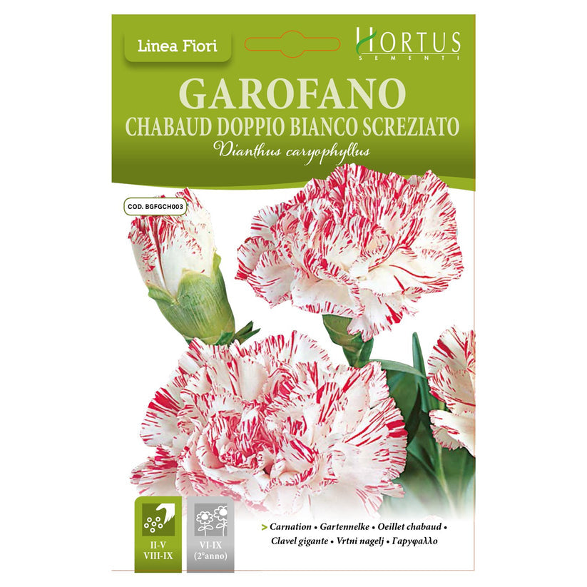 HORTUS CHABAUD DOUBLE WHITE STREAKED CARNATION 0.20 GRAMS