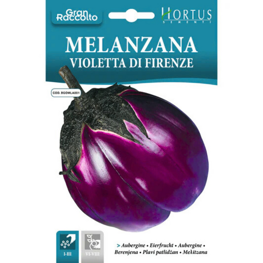 Hortus Violetta di Firenze Eggplant Seeds (Solanum melongena) 7gm