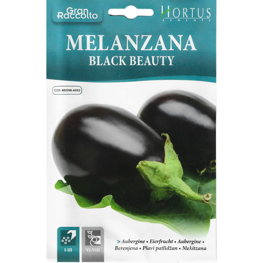 Hortus Black Beauty Eggplant Seeds (Solanum melongena 'Black Beauty') 7gm