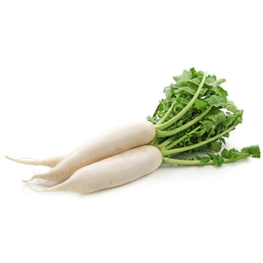 Radish White Long (Moli) Seeds